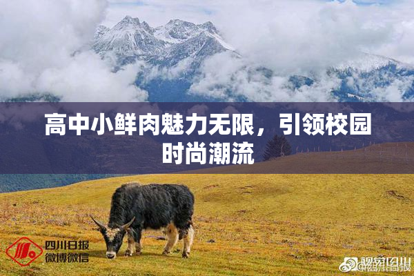 高中小鲜肉魅力无限，引领校园时尚潮流