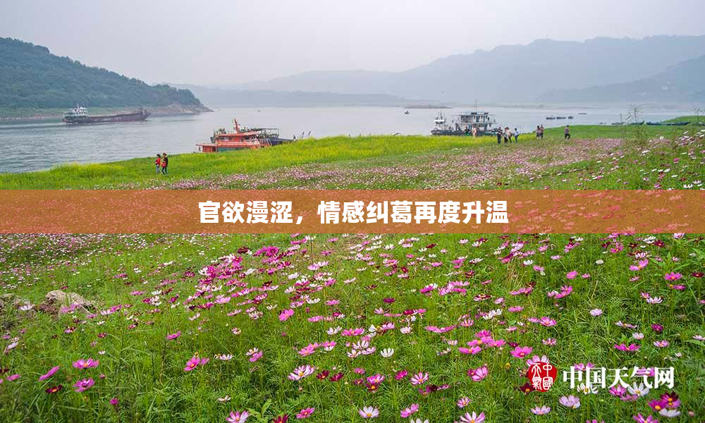 官欲漫涩，情感纠葛再度升温