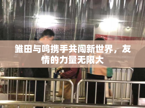 雏田与鸣携手共闯新世界，友情的力量无限大