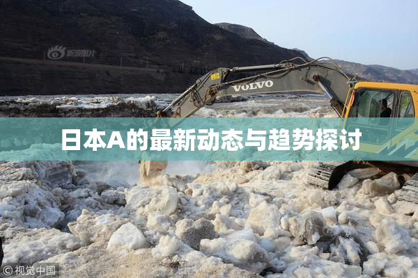 日本A的最新动态与趋势探讨