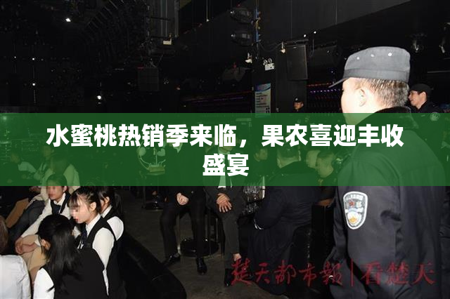 水蜜桃热销季来临，果农喜迎丰收盛宴