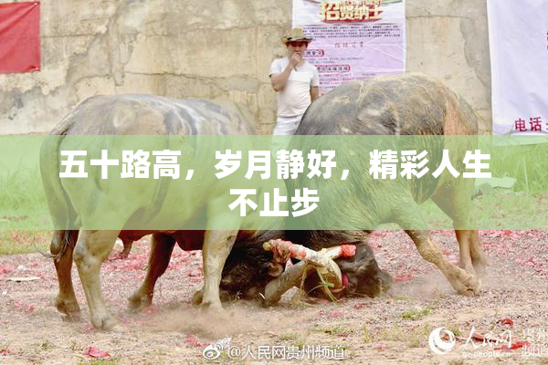 五十路高，岁月静好，精彩人生不止步