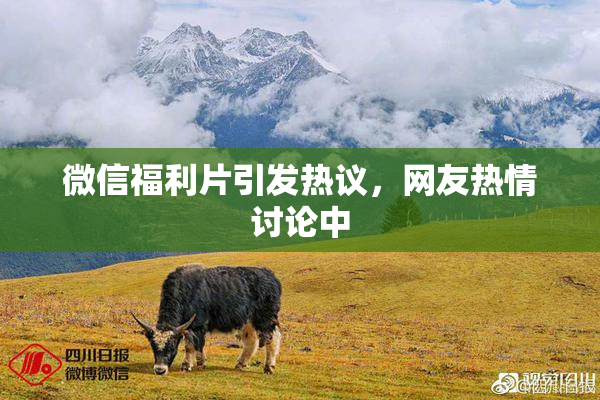 微信福利片引发热议，网友热情讨论中