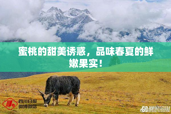 蜜桃的甜美诱惑，品味春夏的鲜嫩果实！