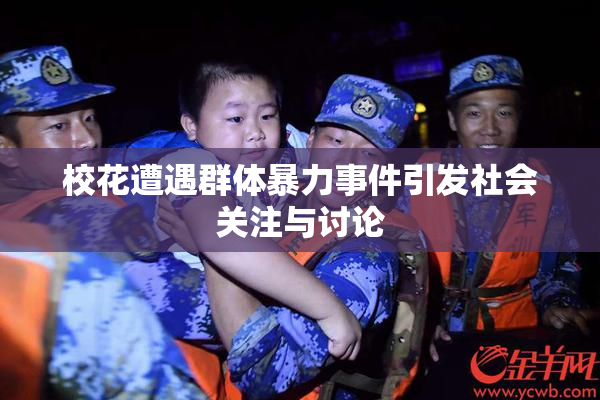 校花遭遇群体暴力事件引发社会关注与讨论