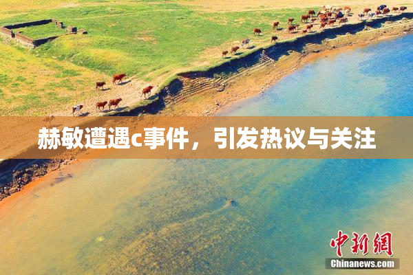 赫敏遭遇c事件，引发热议与关注