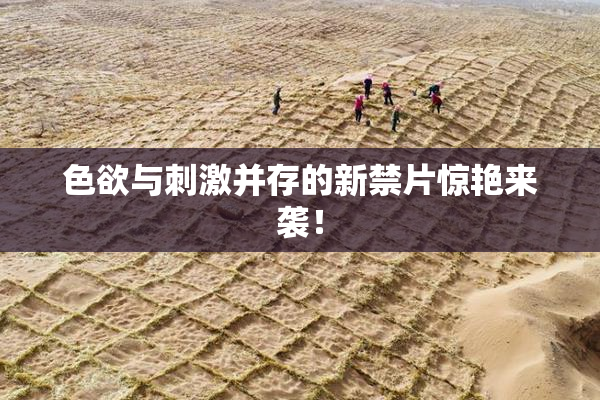 色欲与刺激并存的新禁片惊艳来袭！