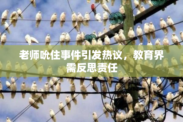 老师吮住事件引发热议，教育界需反思责任