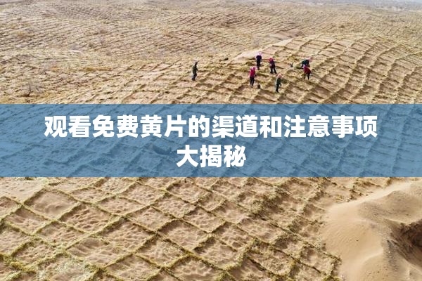 观看免费黄片的渠道和注意事项大揭秘