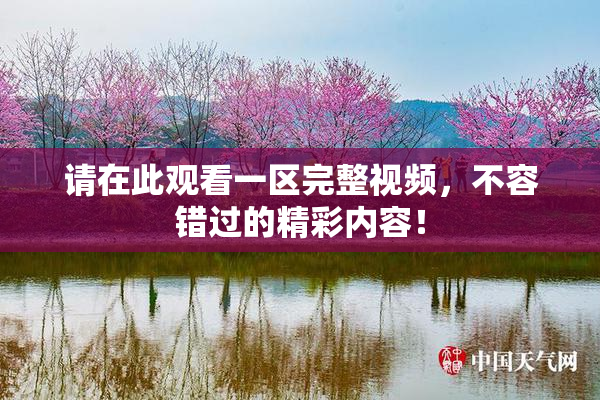 请在此观看一区完整视频，不容错过的精彩内容！