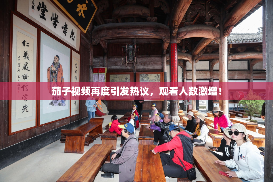 茄子视频再度引发热议，观看人数激增！
