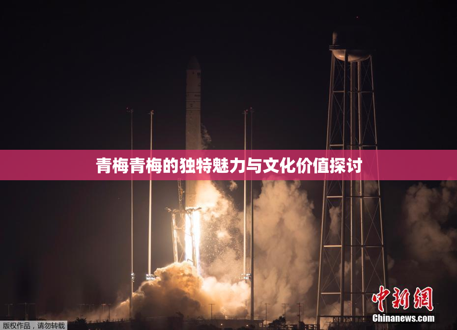 青梅青梅的独特魅力与文化价值探讨