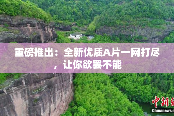 重磅推出：全新优质A片一网打尽，让你欲罢不能