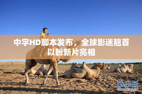 中字HD脚本发布，全球影迷翘首以盼新片亮相