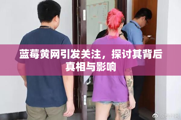 蓝莓黄网引发关注，探讨其背后真相与影响