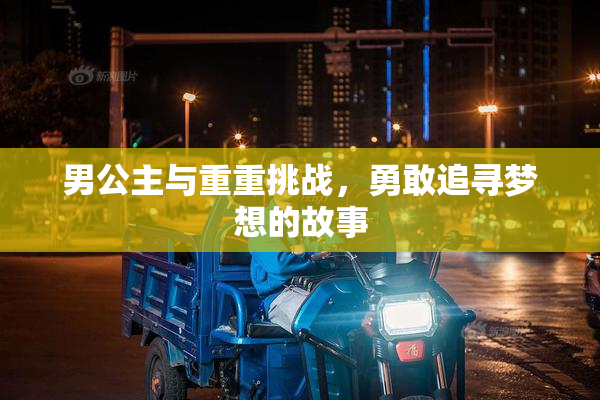 男公主与重重挑战，勇敢追寻梦想的故事
