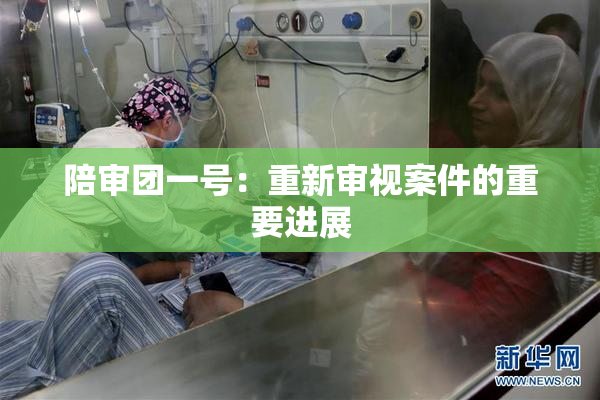 陪审团一号：重新审视案件的重要进展