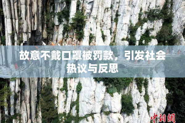 故意不戴口罩被罚款，引发社会热议与反思