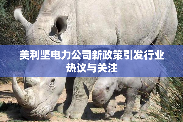 美利坚电力公司新政策引发行业热议与关注