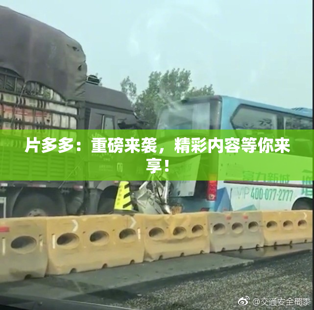 片多多：重磅来袭，精彩内容等你来享！