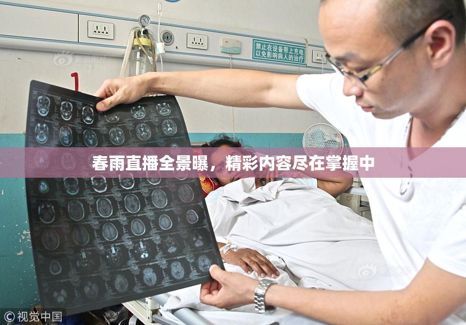 春雨直播全景曝，精彩内容尽在掌握中