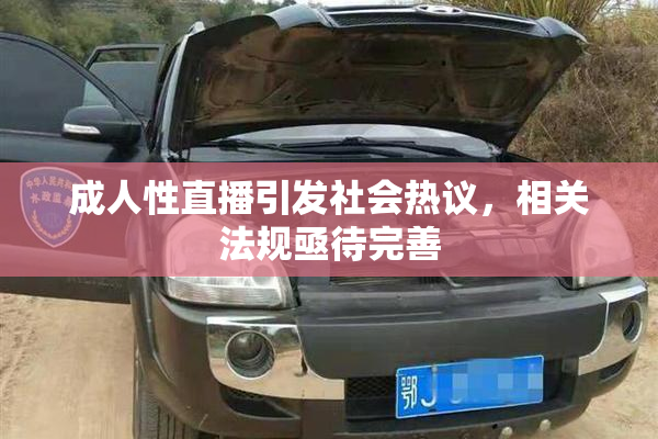成人性直播引发社会热议，相关法规亟待完善