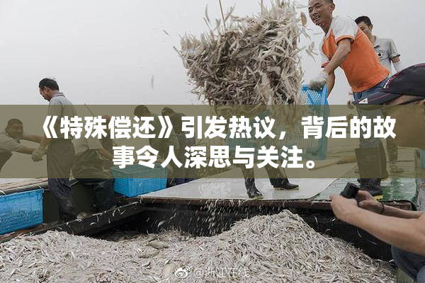 《特殊偿还》引发热议，背后的故事令人深思与关注。
