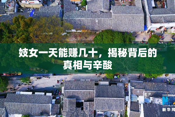 妓女一天能赚几十，揭秘背后的真相与辛酸