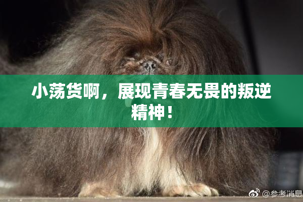 小荡货啊，展现青春无畏的叛逆精神！