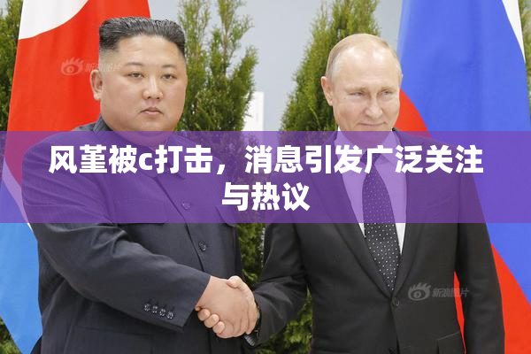 风堇被c打击，消息引发广泛关注与热议