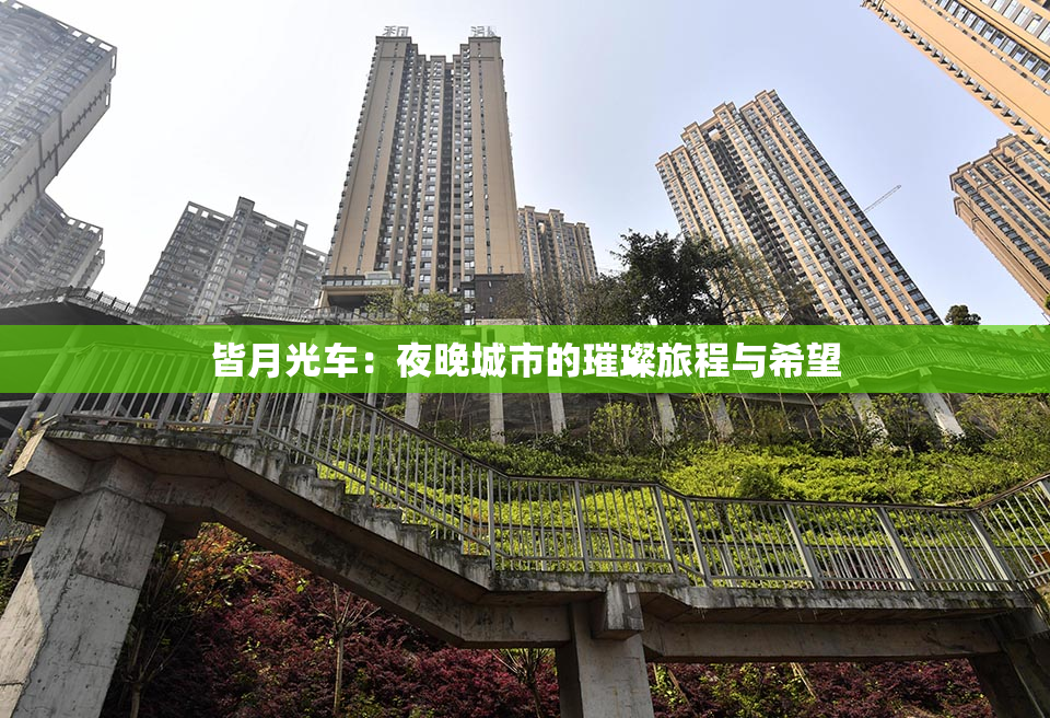 皆月光车：夜晚城市的璀璨旅程与希望