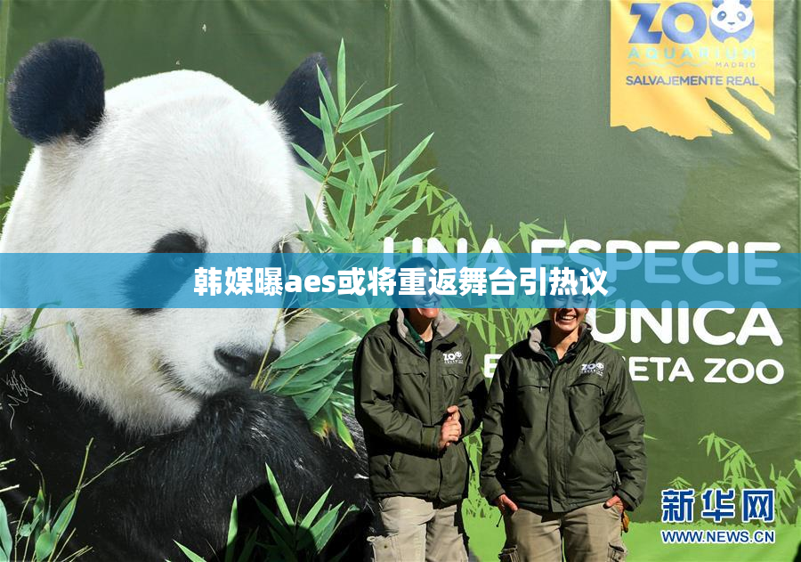 韩媒曝aes或将重返舞台引热议