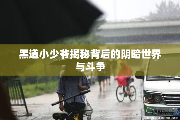 黑道小少爷揭秘背后的阴暗世界与斗争