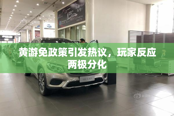 黄游免政策引发热议，玩家反应两极分化