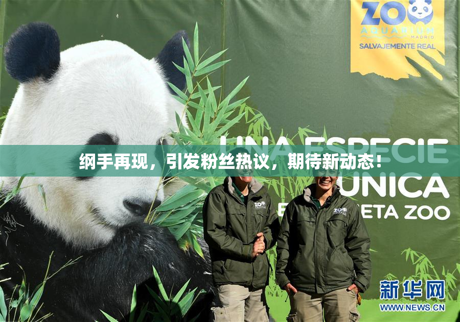纲手再现，引发粉丝热议，期待新动态！