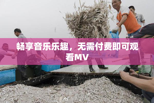 畅享音乐乐趣，无需付费即可观看MV