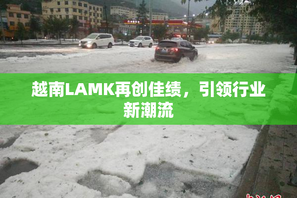 越南LAMK再创佳绩，引领行业新潮流
