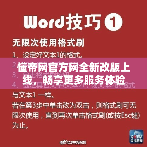 懂帝网官方网全新改版上线，畅享更多服务体验