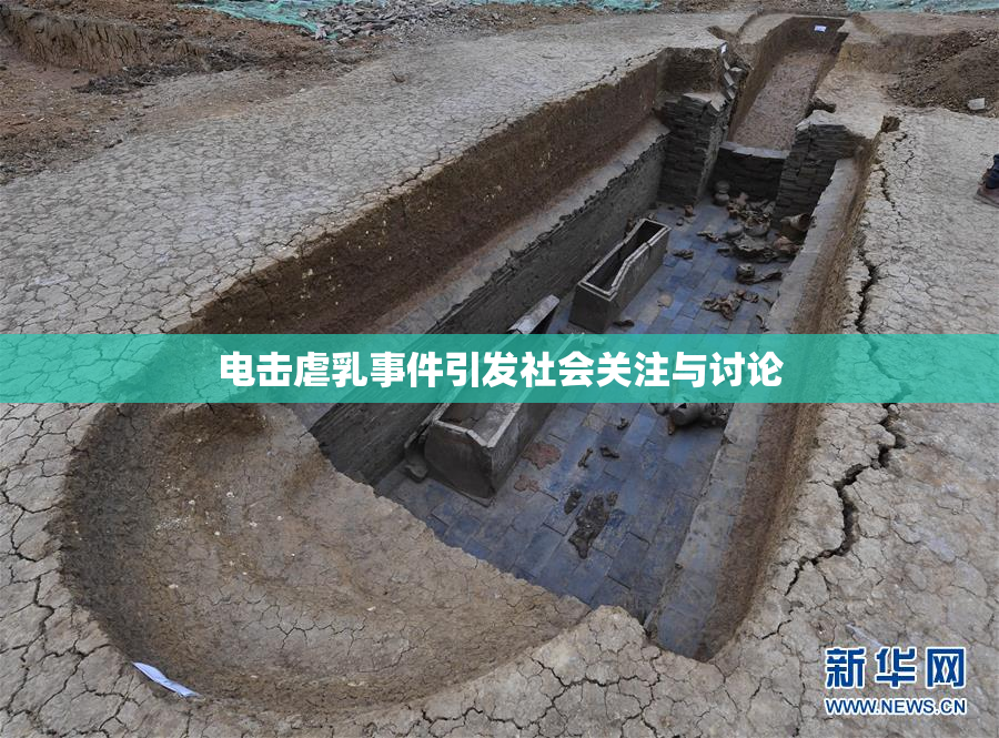 电击虐乳事件引发社会关注与讨论