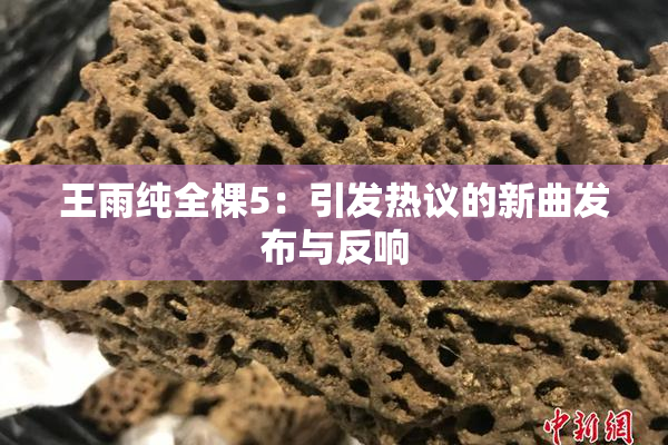 王雨纯全棵5：引发热议的新曲发布与反响