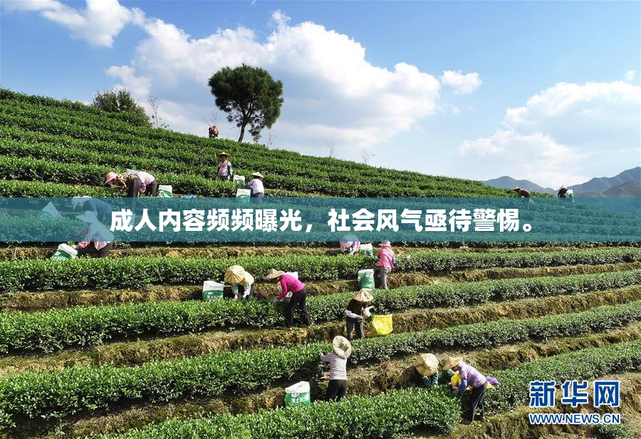 成人内容频频曝光，社会风气亟待警惕。