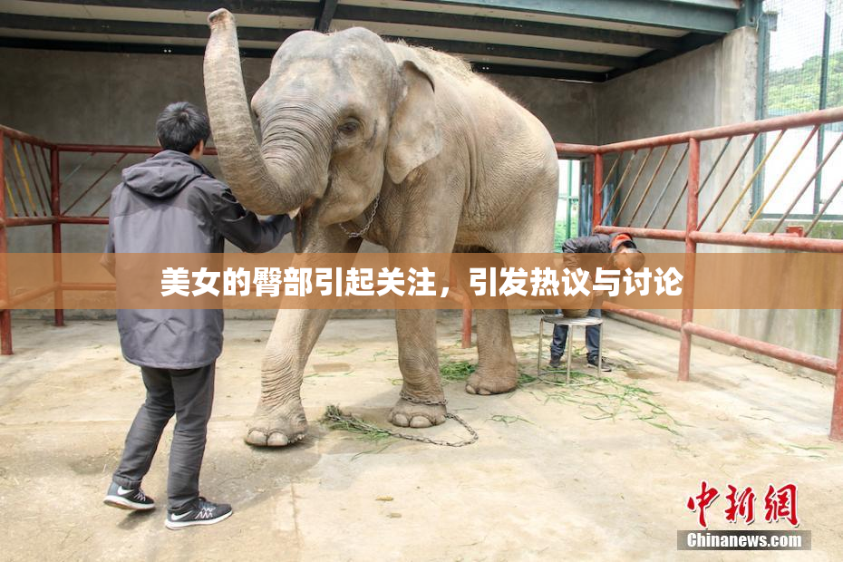 美女的臀部引起关注，引发热议与讨论