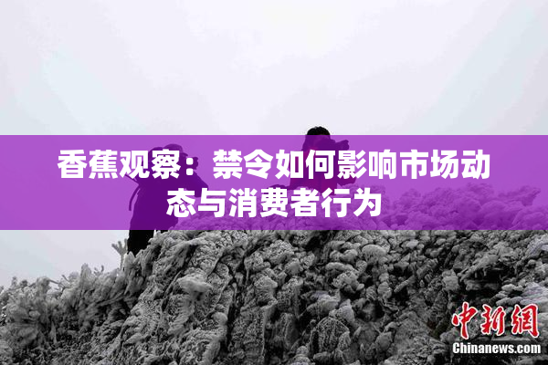 香蕉观察：禁令如何影响市场动态与消费者行为