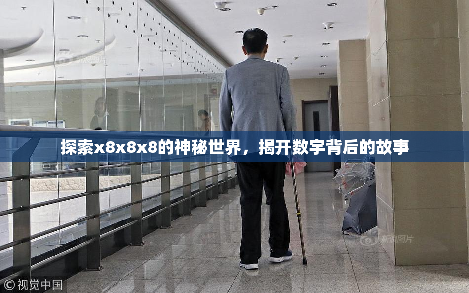 探索x8x8x8的神秘世界，揭开数字背后的故事