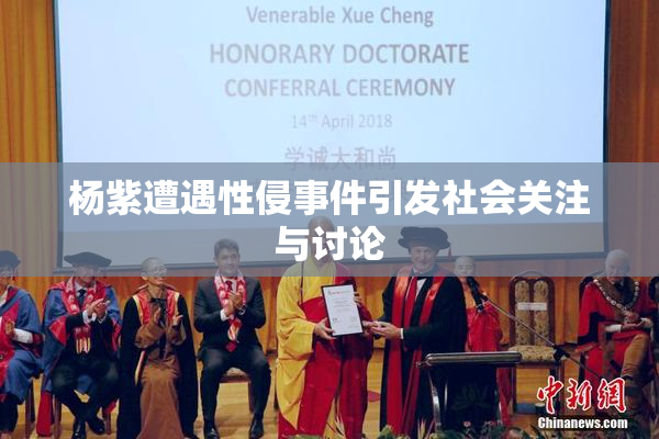 杨紫遭遇性侵事件引发社会关注与讨论
