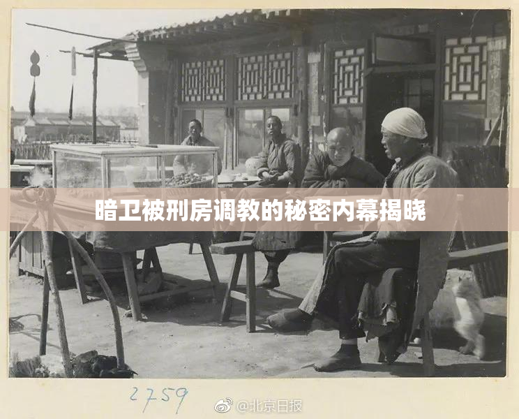 暗卫被刑房调教的秘密内幕揭晓