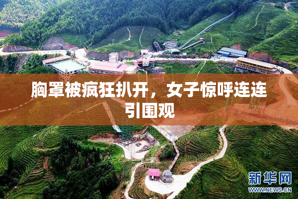 胸罩被疯狂扒开，女子惊呼连连引围观