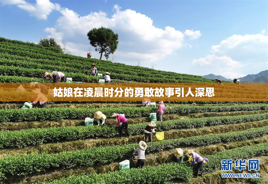姑娘在凌晨时分的勇敢故事引人深思