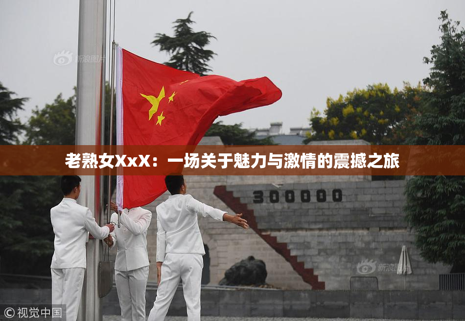 老熟女XxX：一场关于魅力与激情的震撼之旅