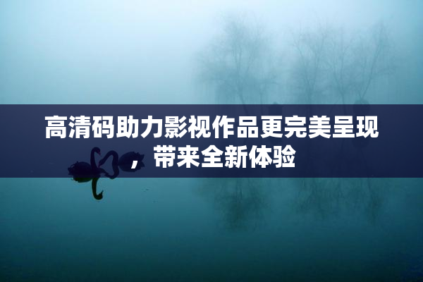 高清码助力影视作品更完美呈现，带来全新体验
